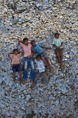 Kids on sea shells, Andra Pradesh