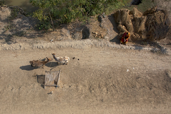 Sundarbans scene, West Bengal, India