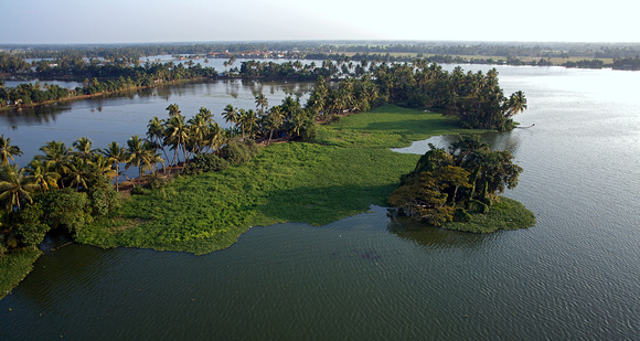 Alleppey backwaters