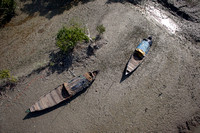 Sundarbans scene, West Bengal, India