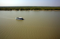 Sundarbans scene, West Bengal, India