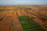 Organic farm, Madurai, India