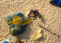 Nets repair in Tamil Nadu