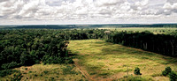 Primary forest vs agriculture, Brazil