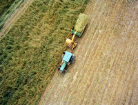 Harvesting in Brazil