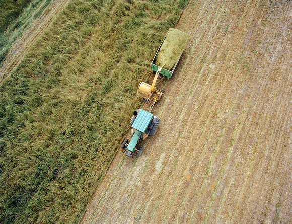 Harvesting in Brazil